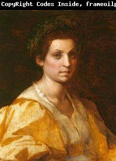 Andrea del Sarto Portrait of a woman in yellow